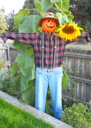 DIY Scarecrow 3