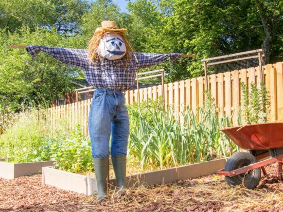 DIY Project: How to Make a Scarecrow • The Budget Decorator
