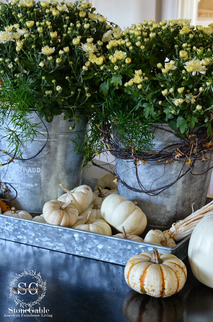 Fall Decorating with Pumpkins and Gourds • The Budget Decorator