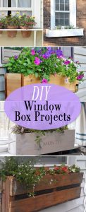 DIY Window Box Ideas & Projects • The Budget Decorator