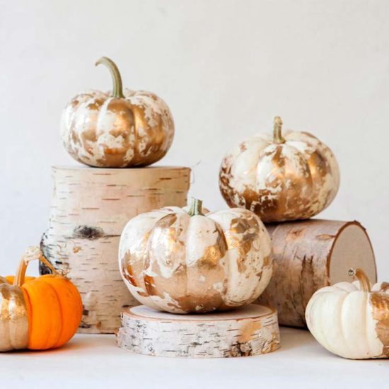 13 Easy and Cheap Fall Decor Ideas (That Don't LOOK Cheap!)