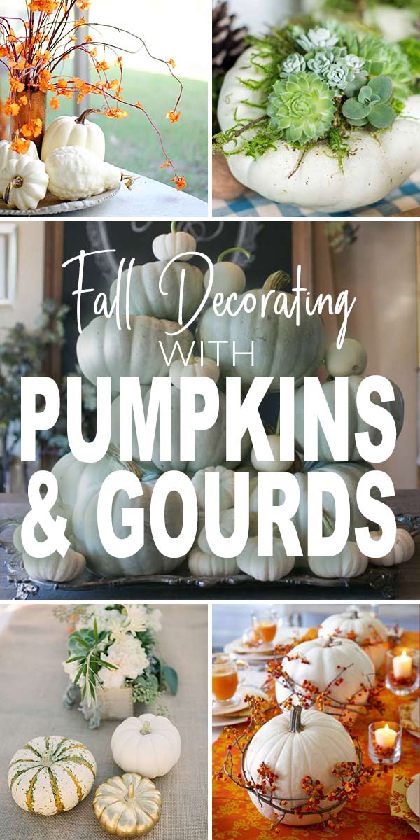 Decorating with Pumpkins & Gourds for Fall • The Budget Decorator