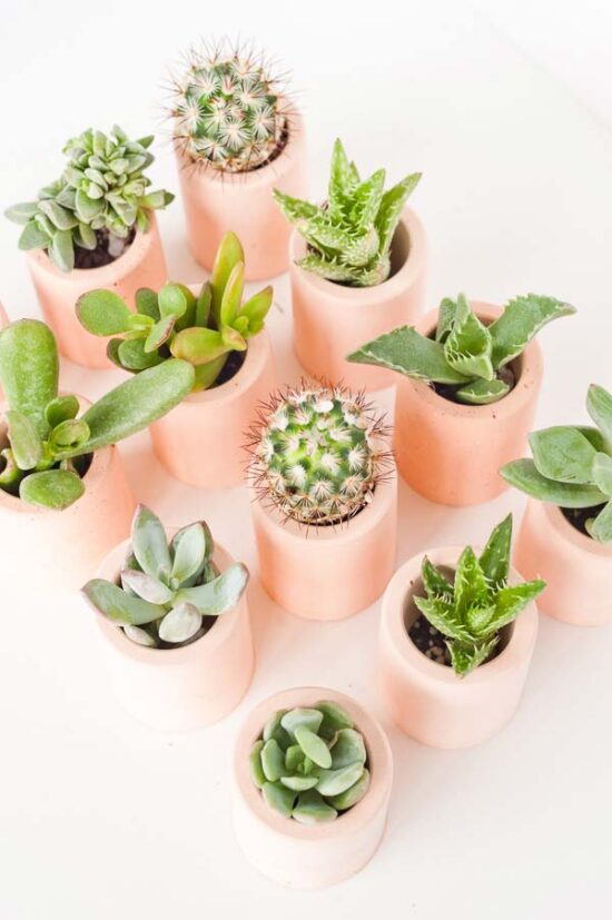 12 DIY Indoor Plant Pot Ideas (Your House Plants Will Love) • The ...