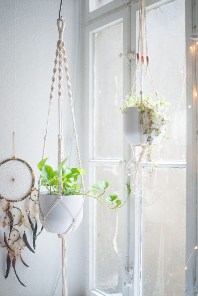 11 Simple DIY Macrame Plant Hanger Tutorials • The Budget Decorator