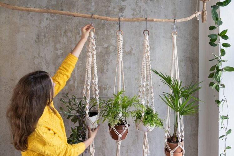 22 Simple Macrame Plant Hanger DIY Projects and Tutorials • The Budget ...