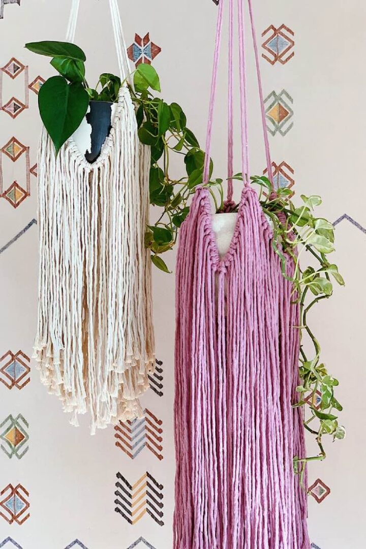 22 Simple Macrame Plant Hanger DIY Projects and Tutorials • The Budget