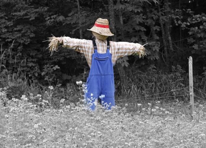 DIY Project: How to Make a Scarecrow • The Budget Decorator