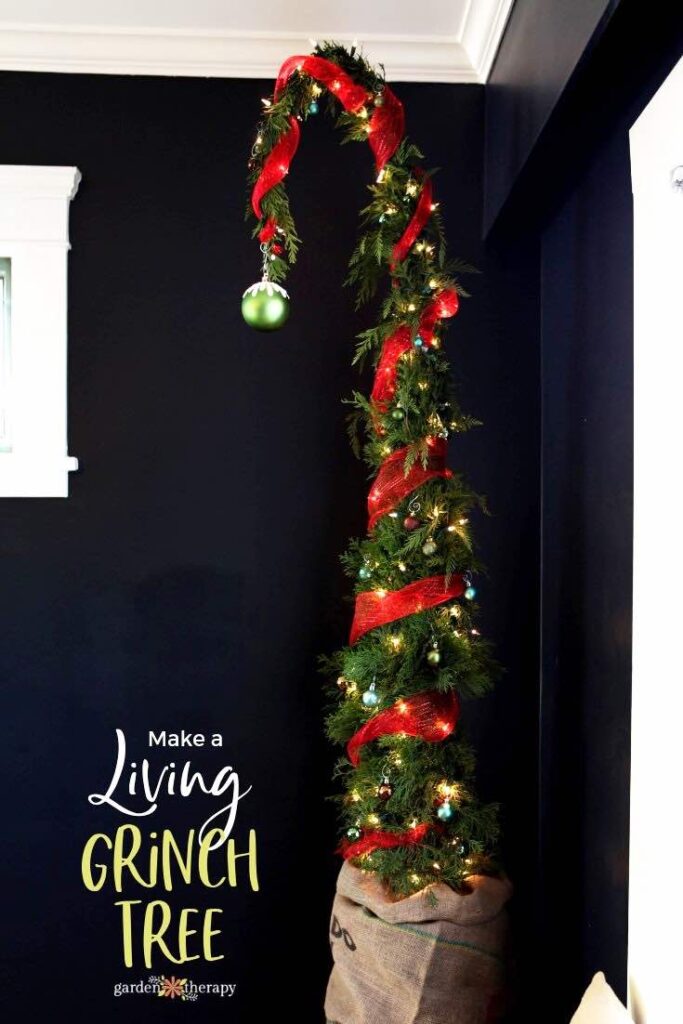 Tall living Whoville Christmas tree
